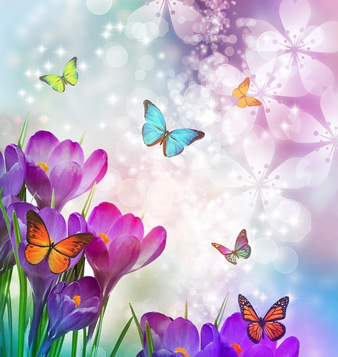 бабочки, цветы, горицвет, блики, фиолетовые, сиреневые
